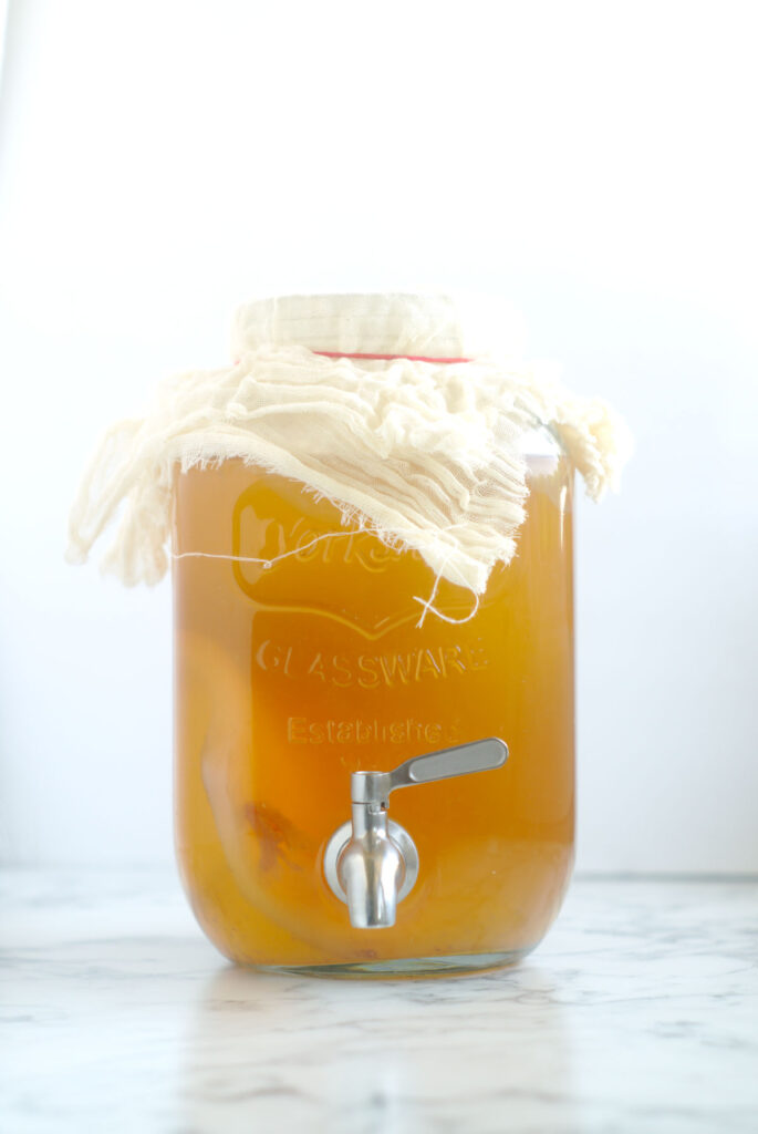 Kombucha SCOBY - What to Do with SCOBYs After Brewing - Bucha Brewers